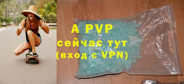 стаф Беломорск