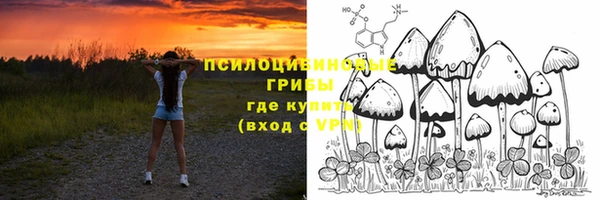 стаф Беломорск