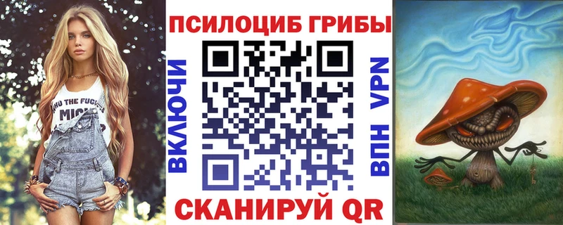 что такое Белоозёрский Галлюциногенные грибы Psilocybe